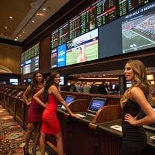 ph828 platform overview helping Filipino players find sports and casino game information